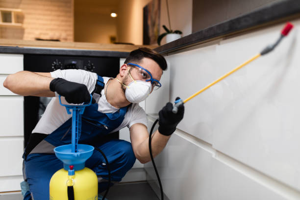 Best Affordable Pest Control Services  in Georgetown, CA