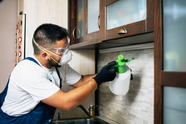 Best Exterminator Services  in Georgetown, CA