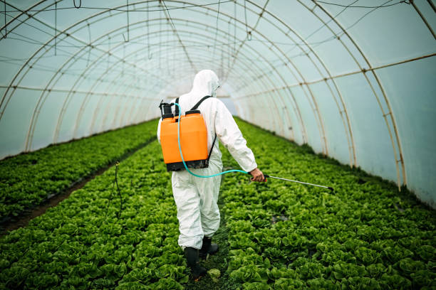 Best Pest Control Cost  in Georgetown, CA