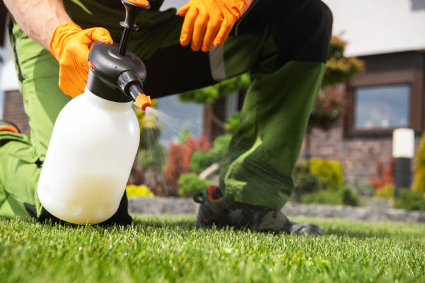 Best Best Pest Control Companies  in Georgetown, CA