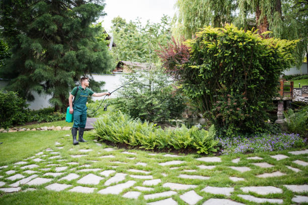 Best Cockroach Control Services  in Georgetown, CA