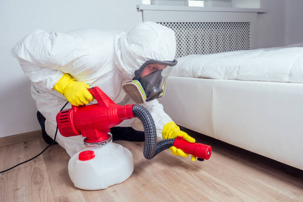 Best Affordable Pest Control Services  in Georgetown, CA