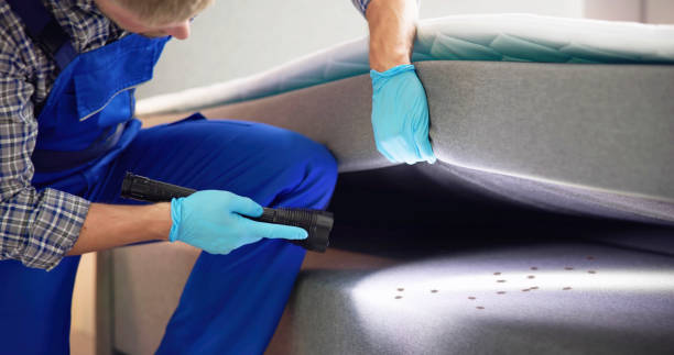 Best Pest Control Near Me  in Georgetown, CA