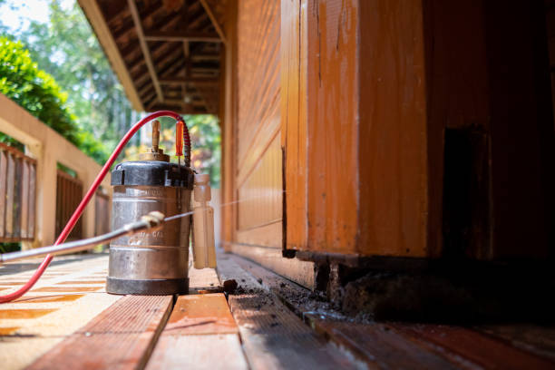 Best Mosquito Control Services  in Georgetown, CA
