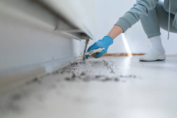 Best Emergency Pest Control  in Georgetown, CA